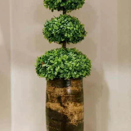 Old Town Luxury Apartment *